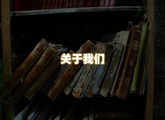 关于我们